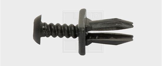 Bild von Schraubniete Ford Schwarz