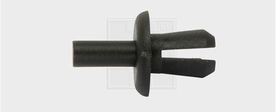 Bild von Spreizniete Ford PA66