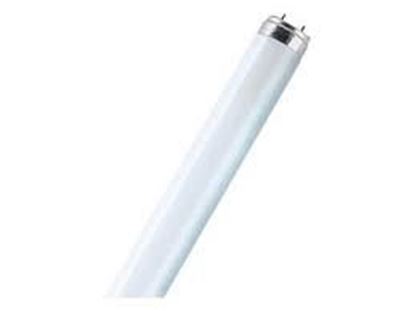 Bild von Fluoreszenzröhren 80 Watt