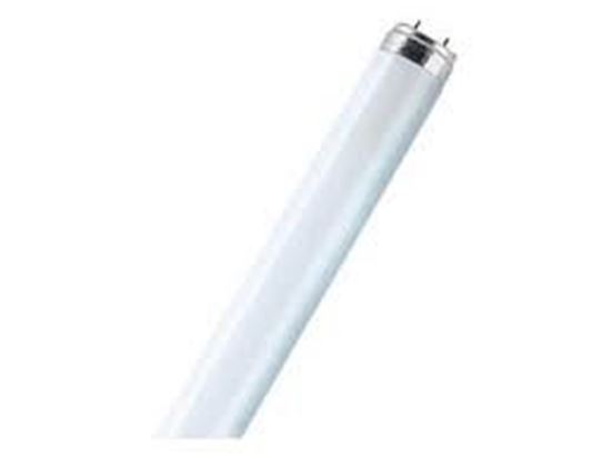 Bild von Fluoreszenzröhren 80 Watt