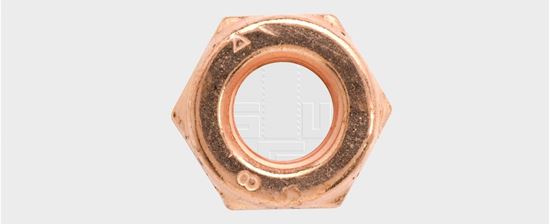 Bild von Muttern M10 verkupfert